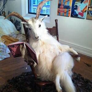 Meet your Posher, Geo